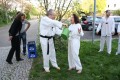 IMG 6054