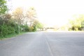 IMG 6062