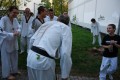 IMG 6081