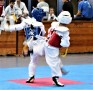 IMG 0041