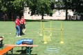 IMG 0011