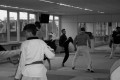 IMG 7837 2